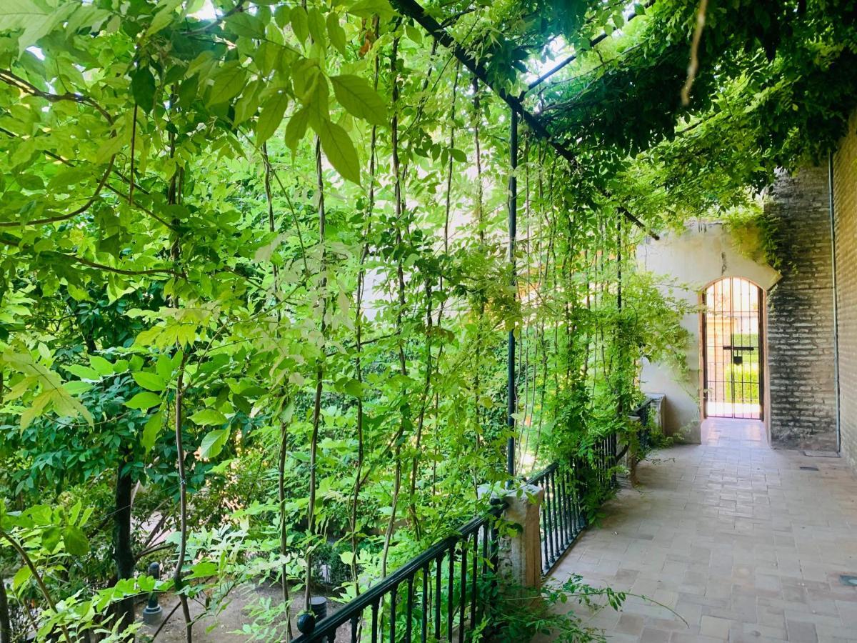 Apartamento Puerta Carmona 塞维利亚 外观 照片